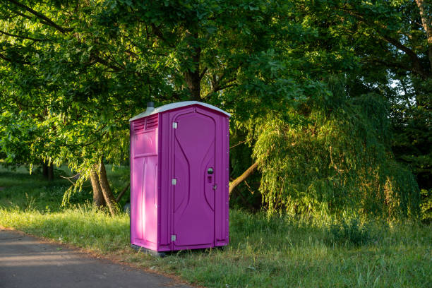Best Porta potty rental for parties  in Lake Vla, IL